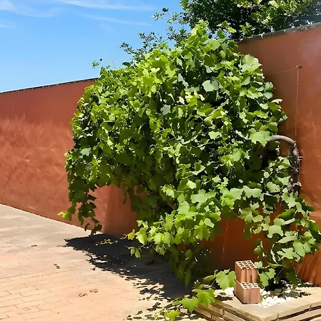 Con Piscina Privada Vallada A 1,2 Kilometros De La Playa De Roche Conil De La Frontera